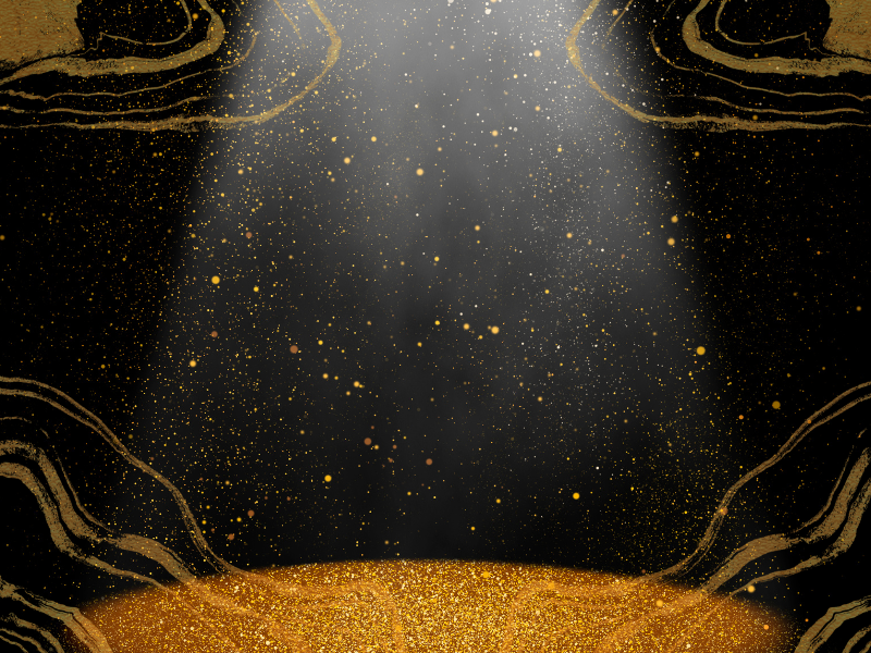 Stage Show Organizer